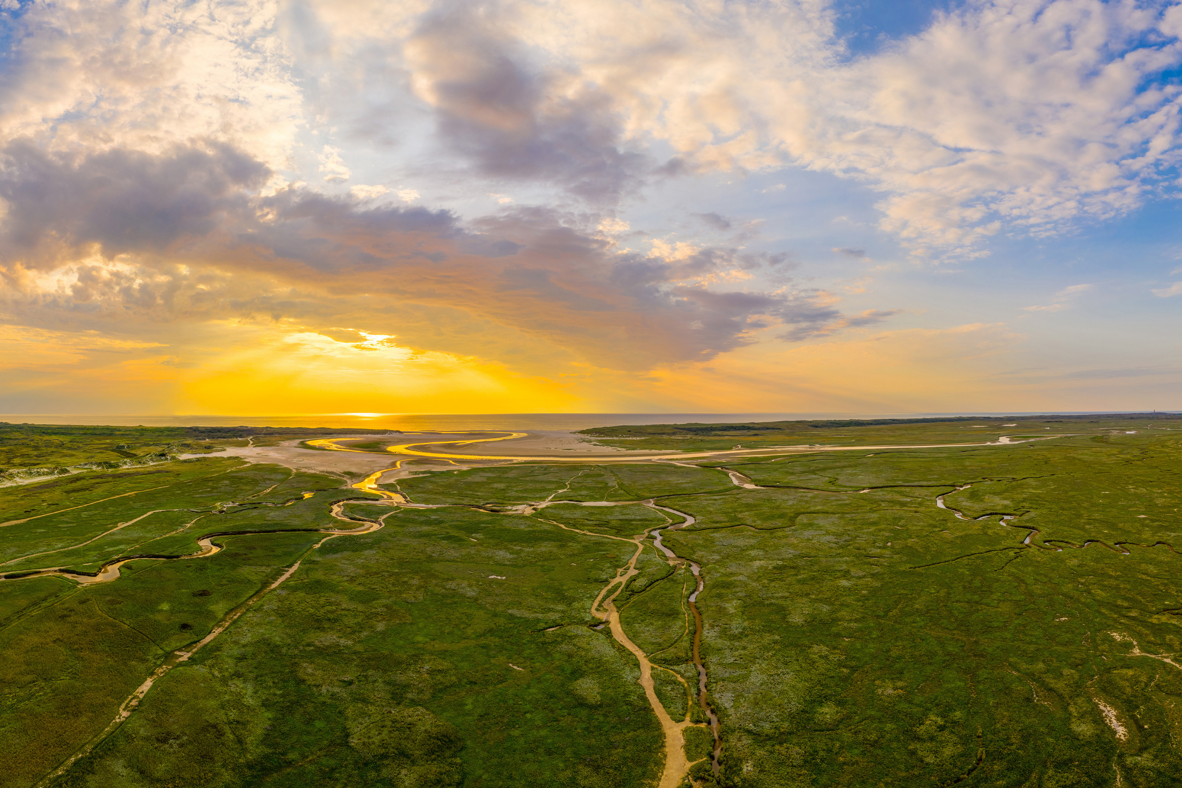 Texel  03.webp